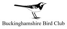 Buckinghamshire Bird Club logo